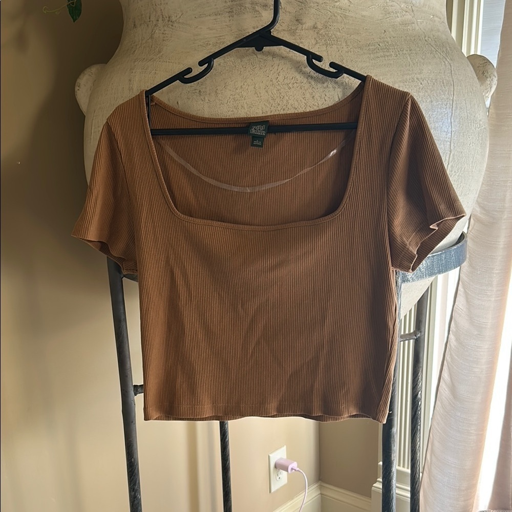 Urban Outfitters Tan Fitted Crop Blouse